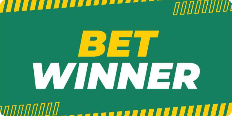 Comprehensive Guide to Betwinner Withdrawal 16